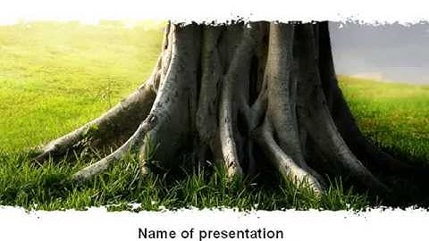 Tree Trunk PowerPoint Template by PoweredTemplate.com