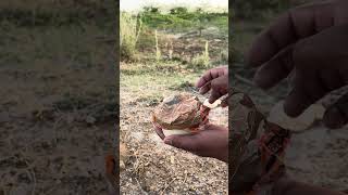 Celebrity The guy shows  SURWaIVAL skils created a surwaival hake for how to patch in a buket Net Worth