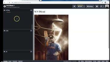 How to do the c49 project of white hat jr