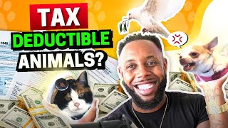 5 Ways to Write-off Your Pets & Animals! [CPA APPROVED]