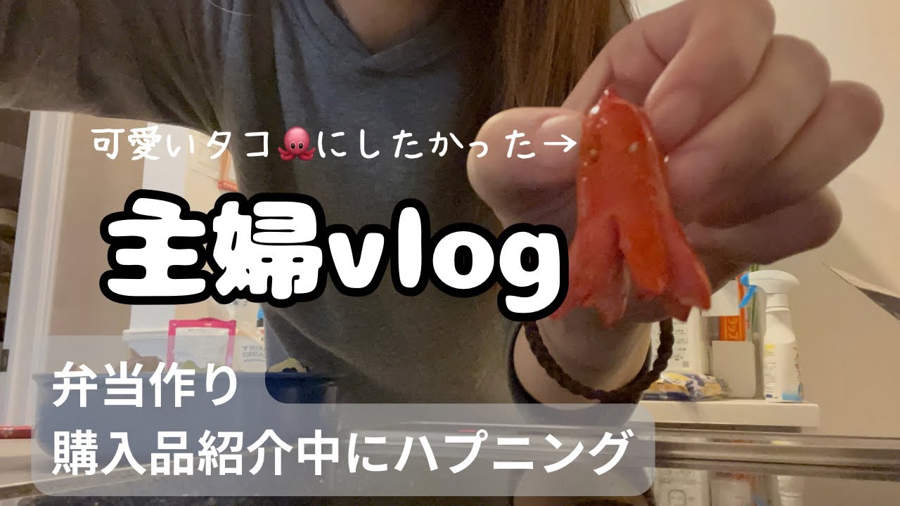 【主婦vlog】朝起きてお弁当作り/給料日前のスーパー購入品紹介