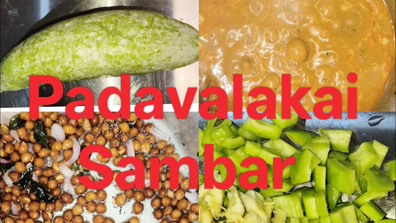 Padavalakai sambar | snakeguard sambar | ಪಡವಲಕಾಯಿ ಸಾಂಬಾರ್ 