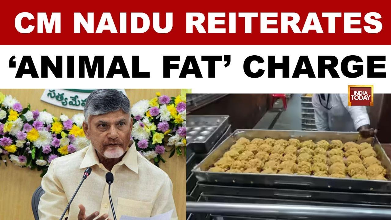 Tirupati Laddu: 'CBI Charge Sheet Debunks Animal Fat Claims' | CM Naidu Stands By his charge