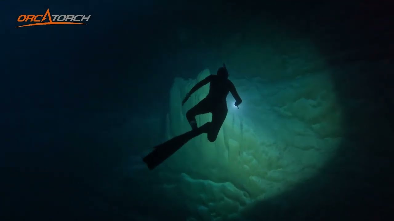 Lighting the Dark World with OrcaTorch D910V Underwater Video Light