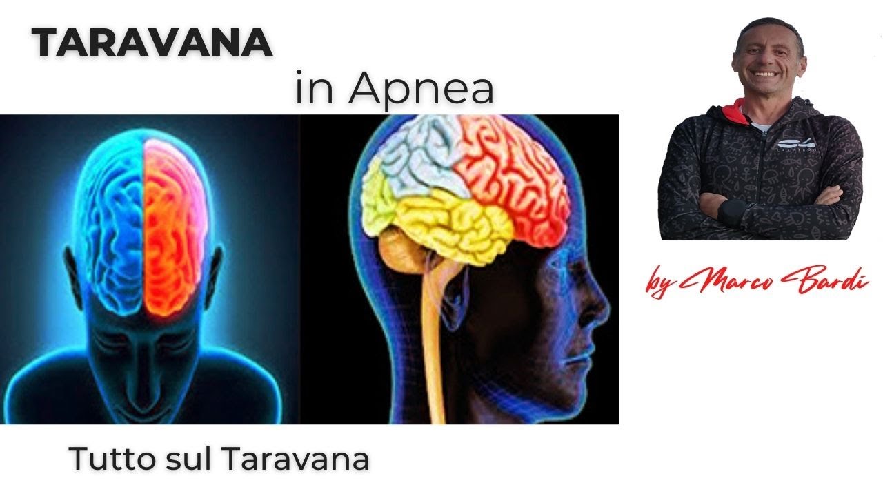 Pesca Sub Tutto Sul Taravana In Apnea YouTube pesca-sub-tutto-sul-taravana-in-apnea-youtube