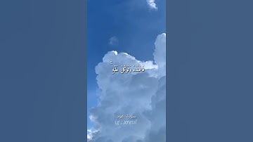 Quran Kareem story 🌸WhatsApp  أجمل قرائه قرآن كريم حالات واتس 🍃 《 سوره هود 》