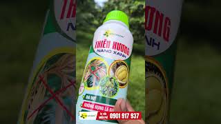 CÁCH PHA THUỐC CHẶN ĐỌT HIỆU QUẢ KHI GẶP MƯA CÂY ĐI ĐỌT