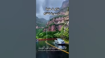 تلاوة تذهب القلق وتبعث الطمأنية | من سورة الفتح للمنشاوي🎬