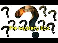 Business Blaze Mystery Box!