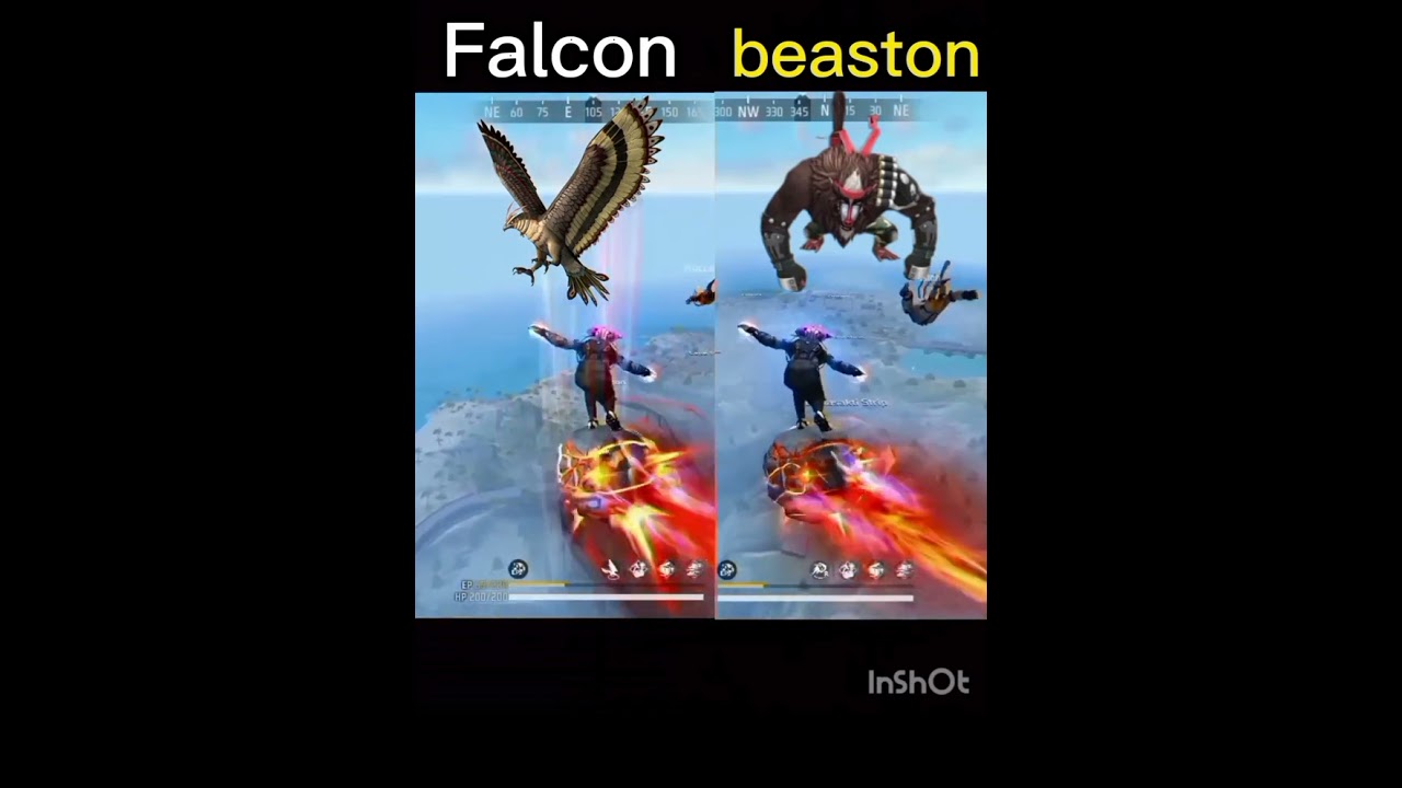 Falcon vs Beaston Which is Fast Landing pet ?? 