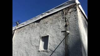 Get Your Homestead Ready for XMass w/CBPlatnum Professional Services screenshot 2