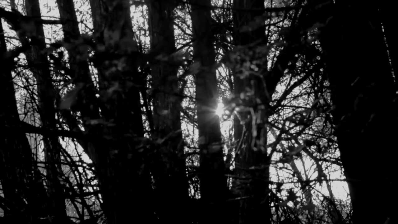 Scott Kelly "The Sun Is Dreaming in the Soul"