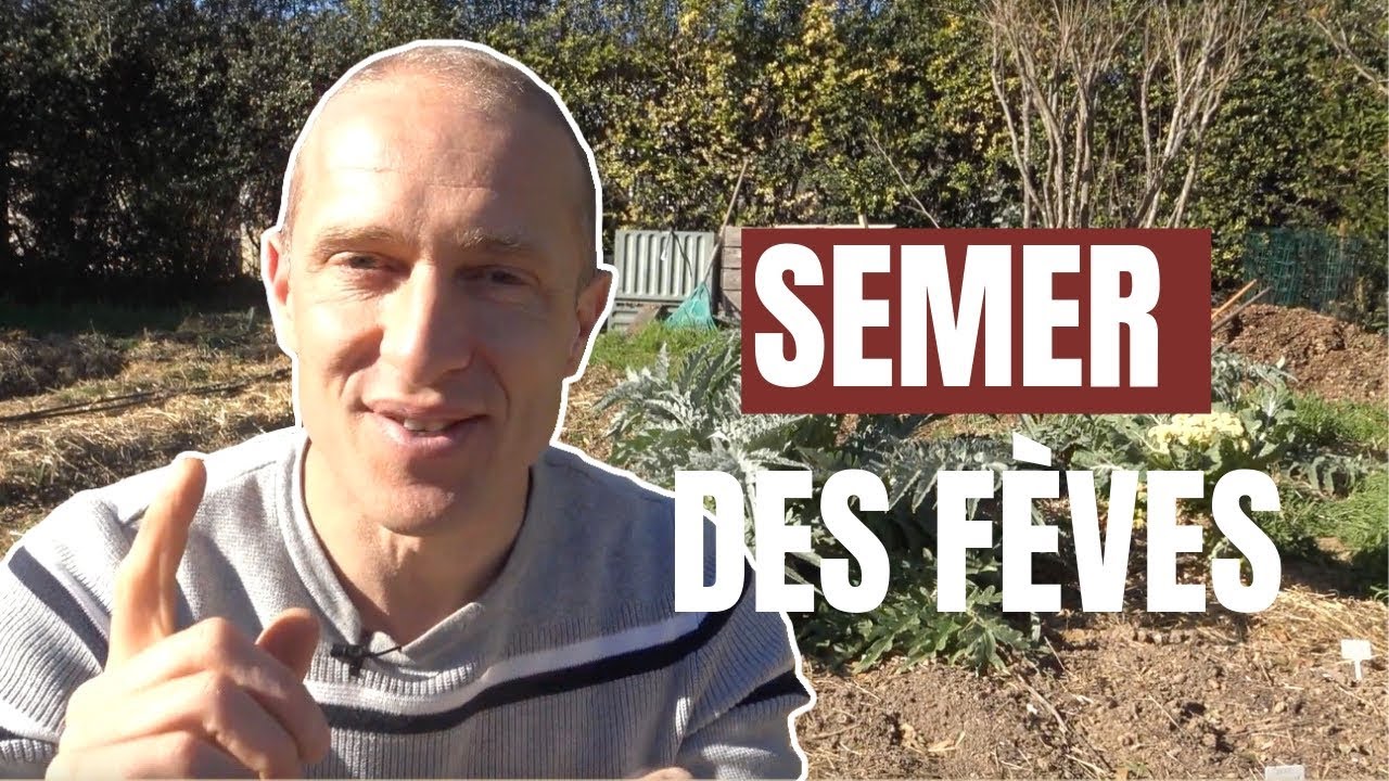 Tuto jardin - Comment semer des fèves