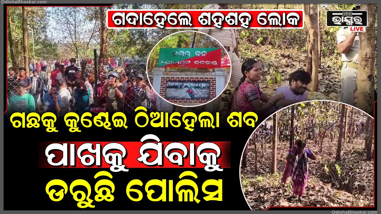 ଗଛକୁ କୁଣ୍ଢେଇ ଠିଆ ହୋଇଛି ଶ-ବ, ପାଖକୁ ଯିବାକୁ ଭୟ କରୁଛି ପୋଲିସ, ଦେଖିବାକୁ ଦୌଡୁଛନ୍ତି ଶହଶହ ଲୋକ