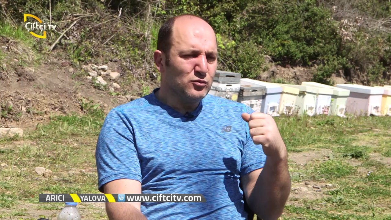 Arıcı - Arıcılığa Yeni Başlayanlar Neler Yapmalı?