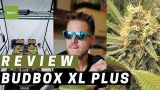 *BudBox Review* 1.5m Cannabis Grow Tent, White vs Mylar - Savage Review