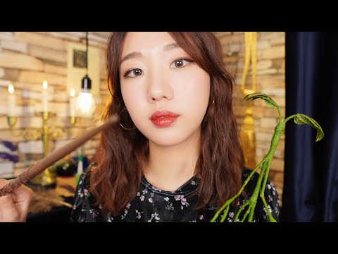 [ASMR] 🔮신비한 동물병원을 찾아온 손님들🧪 | 보우트러클, 천둥새, 에럼펀트 치료해주기