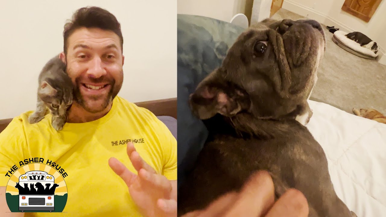 I Just Can't.... The Asher House YouTube