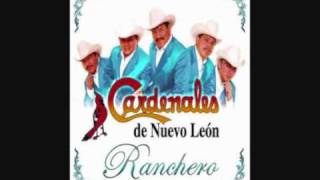 Video thumbnail of "los cardenales de nuevo leon belleza de cantina"