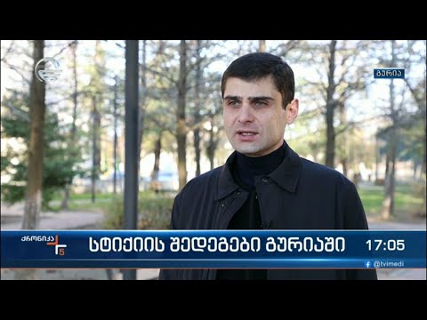 სტიქიის შედეგები გურიაში