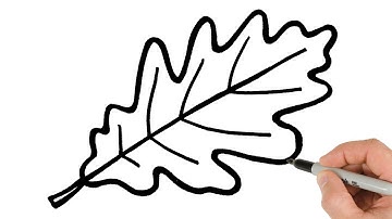 How to Draw Fall Leaf | Super Easy Step-by-Step Tutorial!
