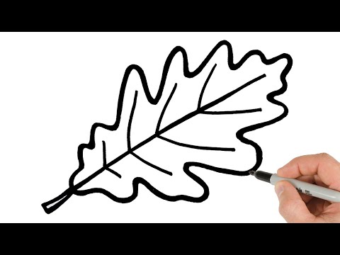 How to Draw Fall Leaf | Super Easy Step-by-Step Tutorial!