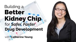 Famous Bioengineering a Kidney Chip for Better, Safer, and Faster Drug Development Wealth