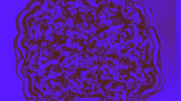 Diffusion-Reaction simulation Carbon monoxide oxidation