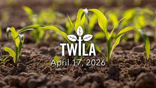 TWILA — April 17, 2026