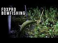 Bowfishing with the NEW FOXPRO Mudcutter Lights!