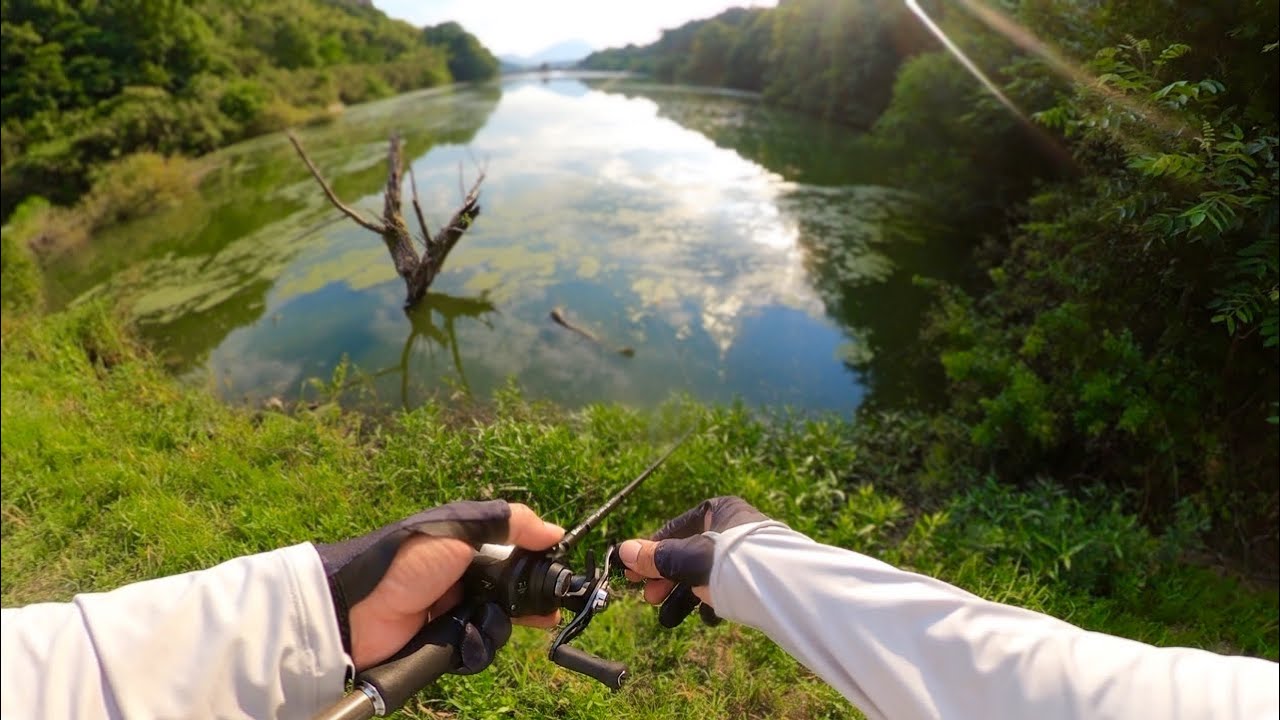 気温30度越え、水質悪化 / そんな時でも、喰われまくるのが... このルアーです