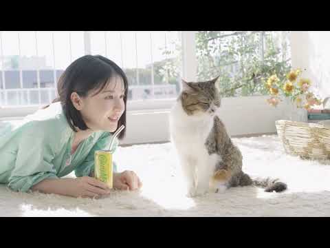 猫が登場するカロリーメイトのテレビCM『吾輩は栄養である・春』篇のメイキング映像