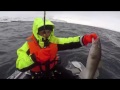 ОТКРЫТИЕ СЕЗОНА . Баренцево море. /season opening. Barents sea.