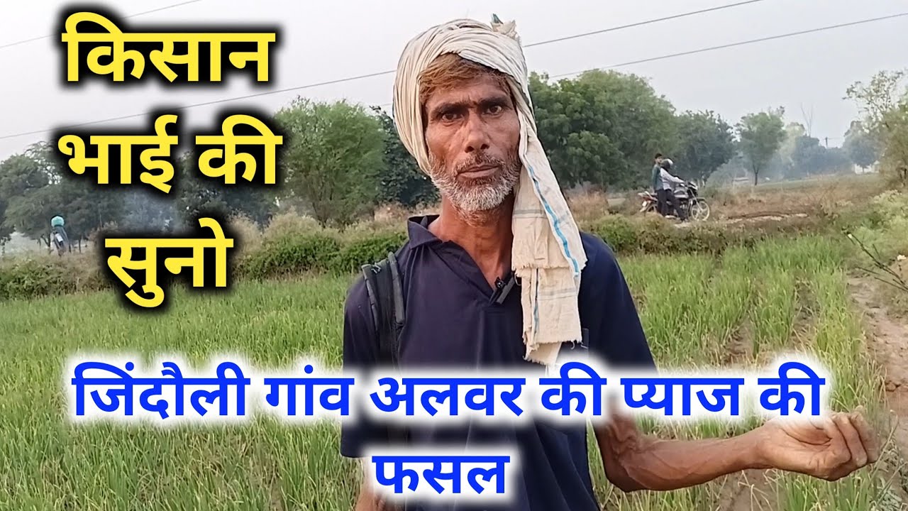 Onion Farming Alwar Rajasthan। जिंदौली गांव अलवर राजस्थान में कैसी है