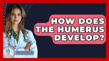 How Does The Humerus Develop? - Orthopedic Support Network