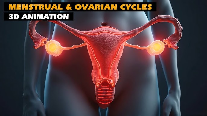 Porno chegarasi ogzaki jinsiy aloqa beradi Unga kunnilingus berildi.