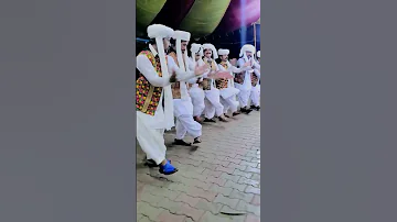Lok Virsa Desi Mahol Saraiki Balochi Jhumar Best Dance Wedding Ceremony Jhumar Shorts Shortvideo 