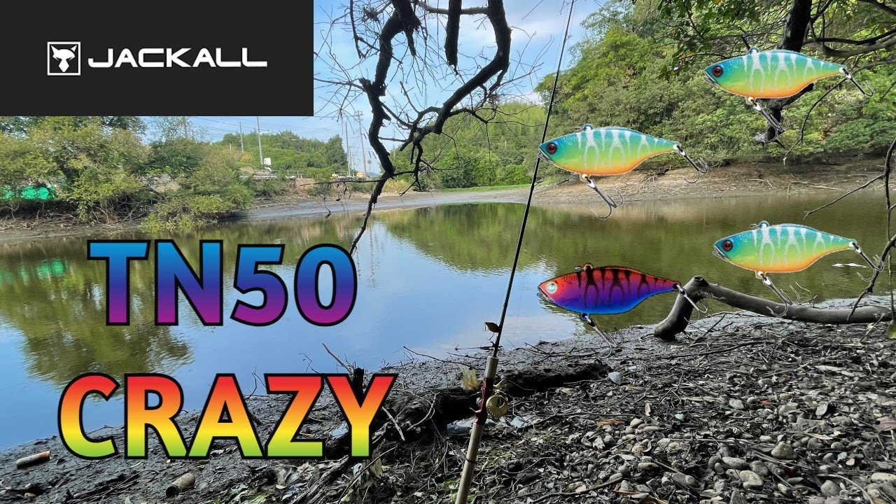 【バス釣り】TN50...so crazy.