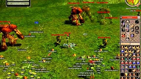 Metin2 Tim 3x DMg... KyngDemon.avi