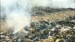 Reciclar É Mais Legal - Machadinho Doeste