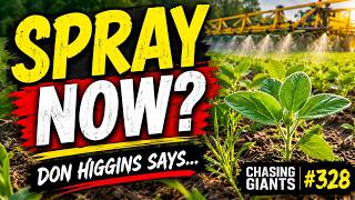 Spray Now or Wait? Don Higgins Explains Soybean Success | Chasing Giants #328