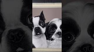 #art #drawing #painting #artist #artwork #handmade #animals #pets #dogs #realism #portrait #usa