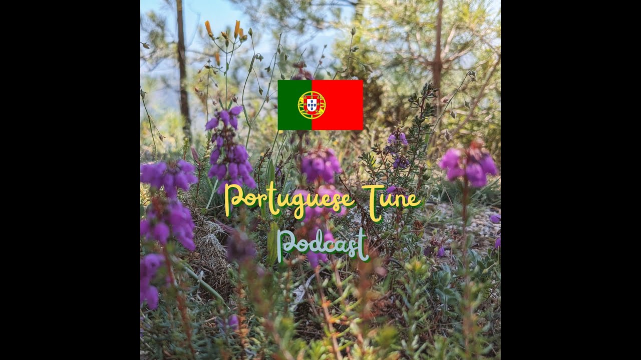 Ep. 21 - Home Furniture and Appliances | A1 European Portuguese with ...