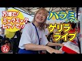 【万博でハラミちゃんライブ!!】大阪・関西万博にストリートピアノが設置され、登場したまさかのサプライズゲストに歓声が上がった。