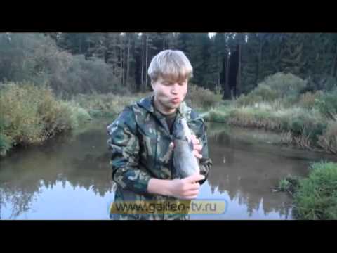Способ 6 Рыбалка