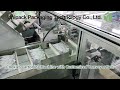 Automatic Biscuit Cartoning Machine with Long Conveyor