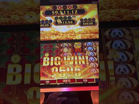 The Heat Is On In Oklahoma! #roulette #casino #gambling