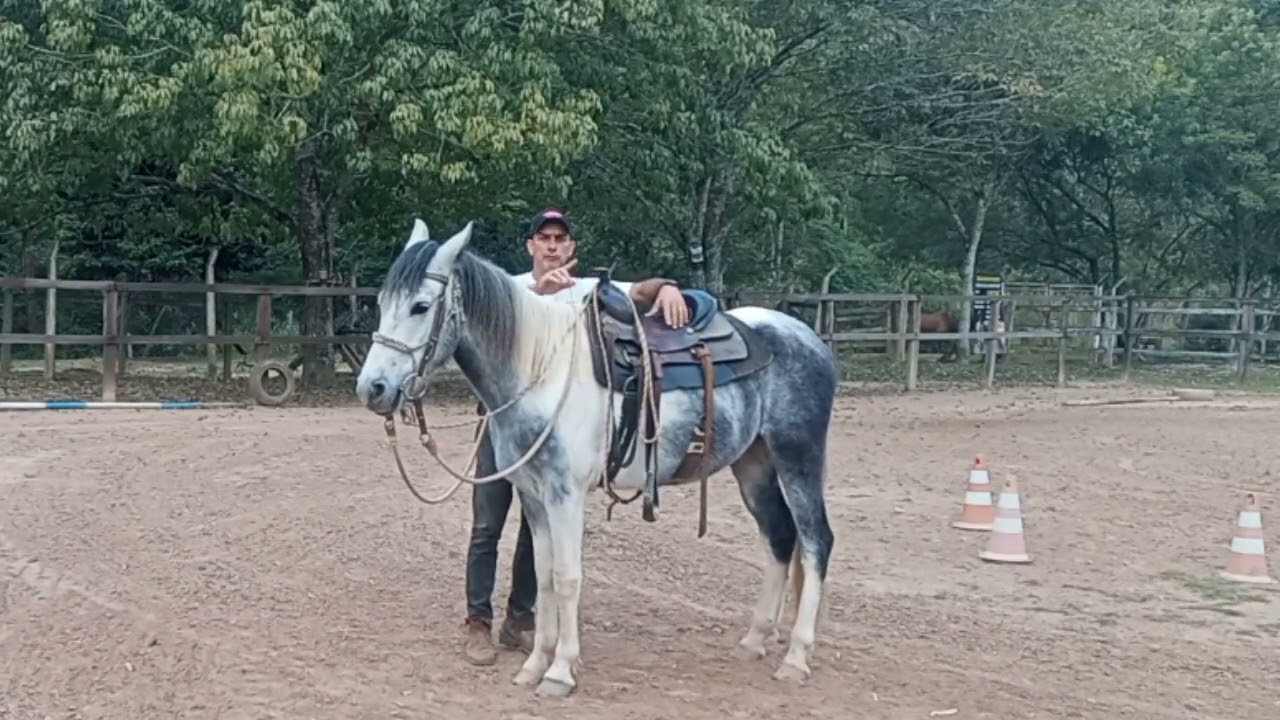 3 idéias para cavalo que não fica parado para você montar