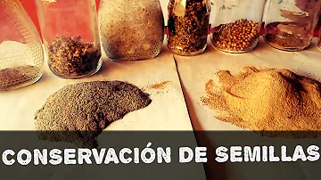 ¿Cuál es la finalidad de preservar las semillas de cultivo en ese lugar?