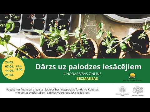 Video: Paložu dārzkopība iesācējiem - padomi palodzes dārza izveidei